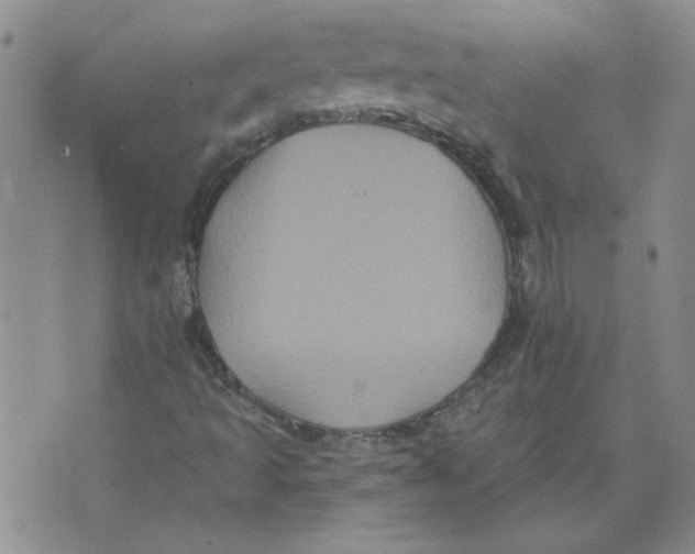 X0000076101493200610152330