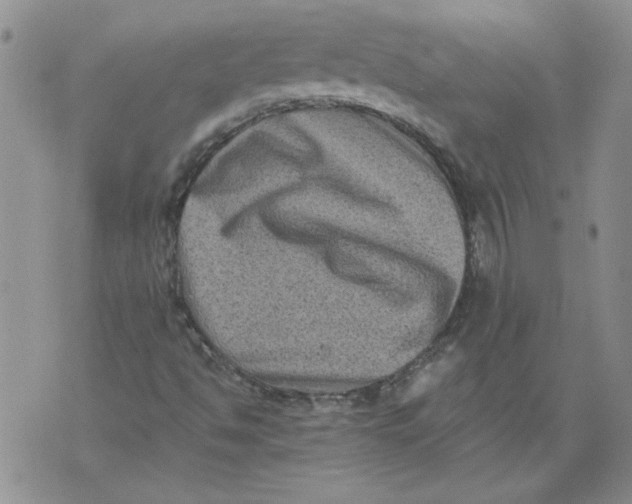 X0000076101494200610152330