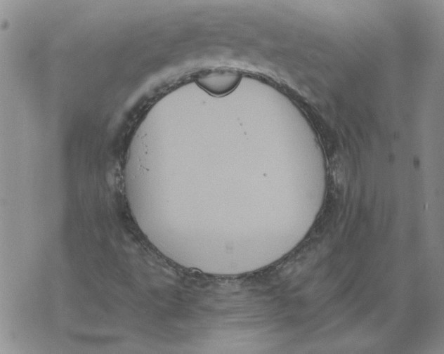 X0000076101495200610152330