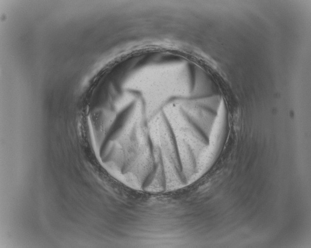 X0000076101496200610152330