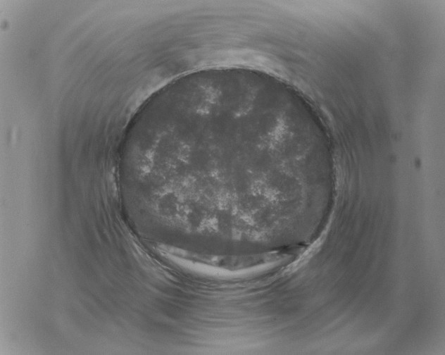 X0000076101497200610152330