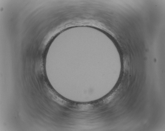 X0000076101498200610152330