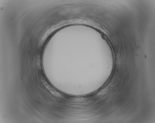 X0000076101499200610152330