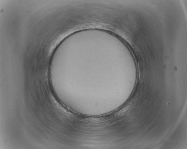 X0000076101500200610152330