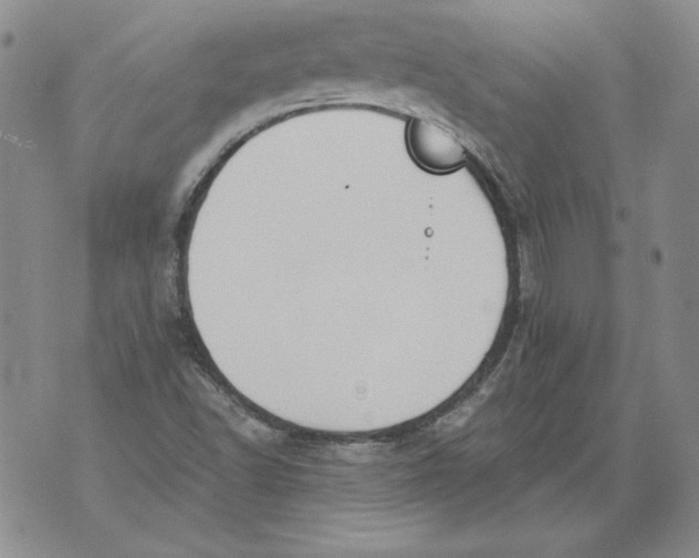 X0000076101502200610152330