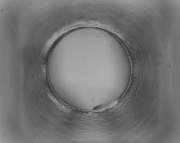 X0000076101503200610152330