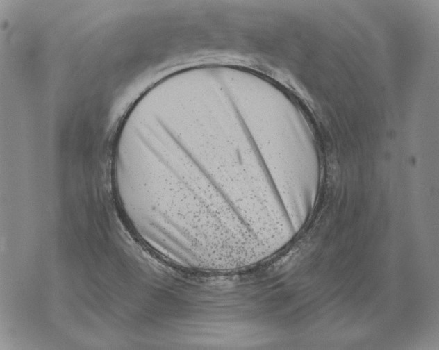 X0000076101504200610152330