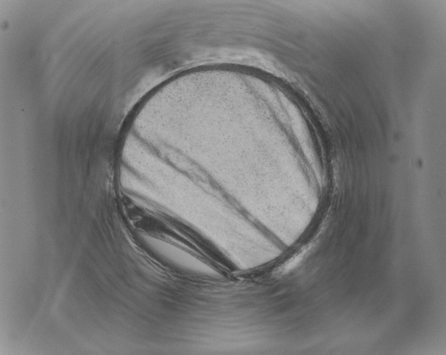 X0000076101505200610152330