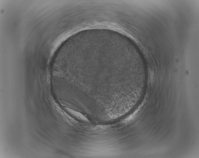 X0000076101506200610152330