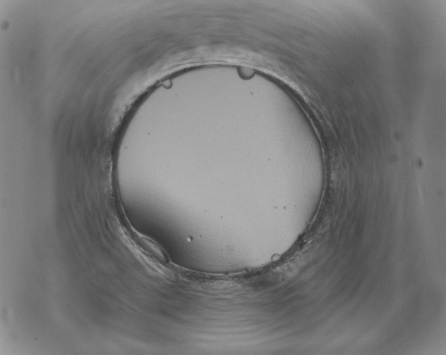 X0000076101507200610152330