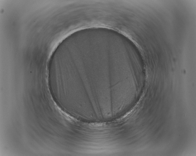 X0000076101508200610152330