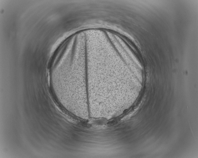 X0000076101509200610152330