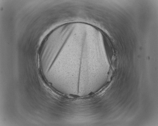 X0000076101510200610152330