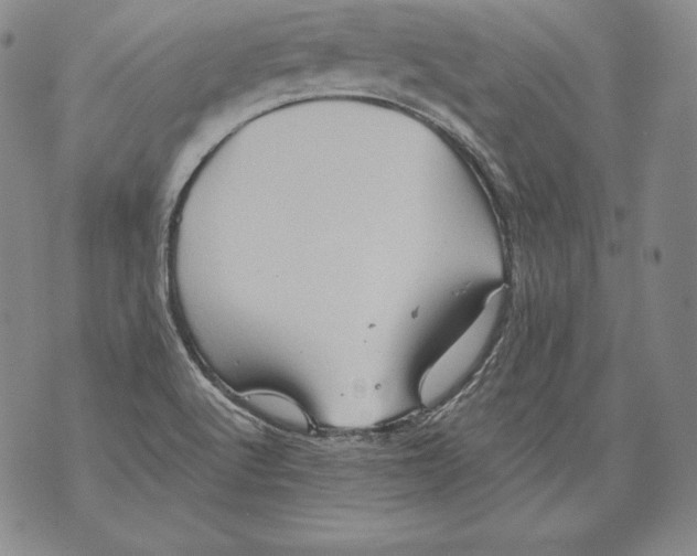 X0000076101512200610152330