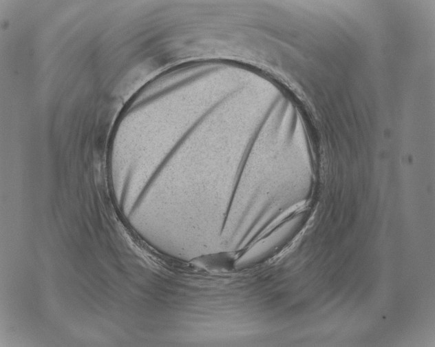 X0000076101513200610152330