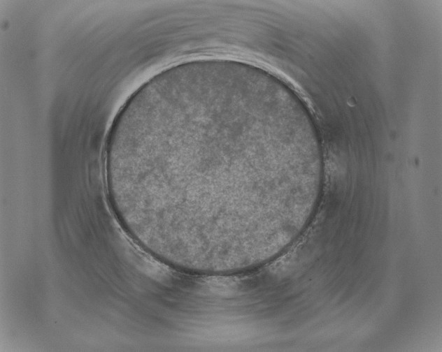 X0000076101514200610152330