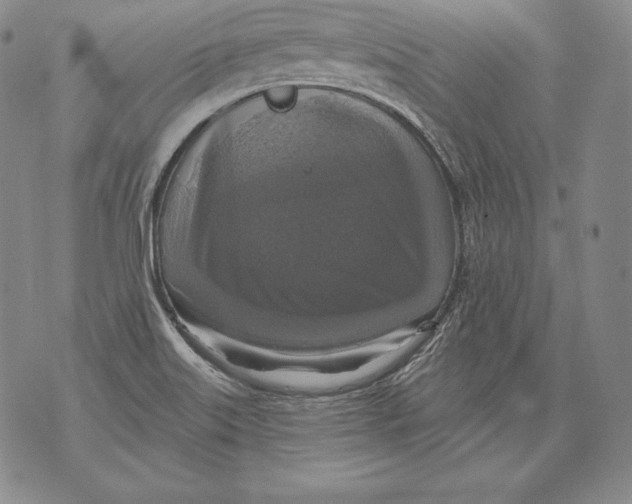 X0000076101515200610152330