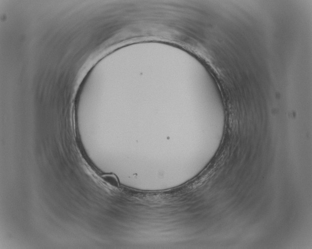 X0000076101516200610152330