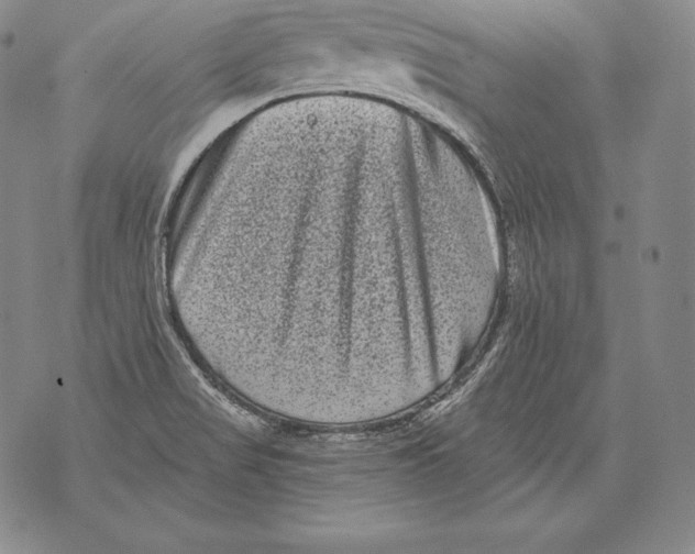 X0000076101517200610152330