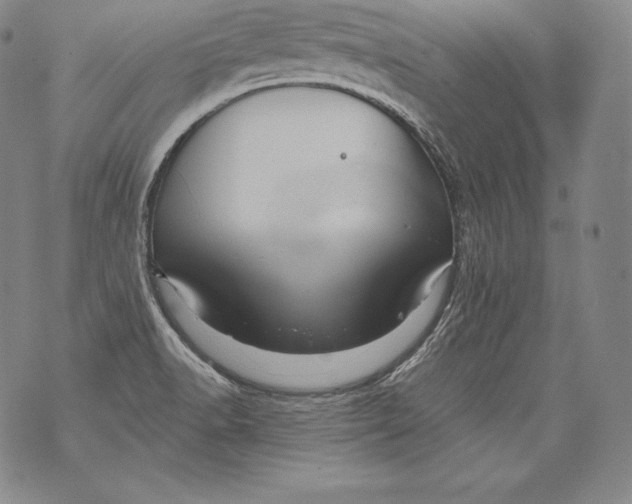 X0000076101518200610152330