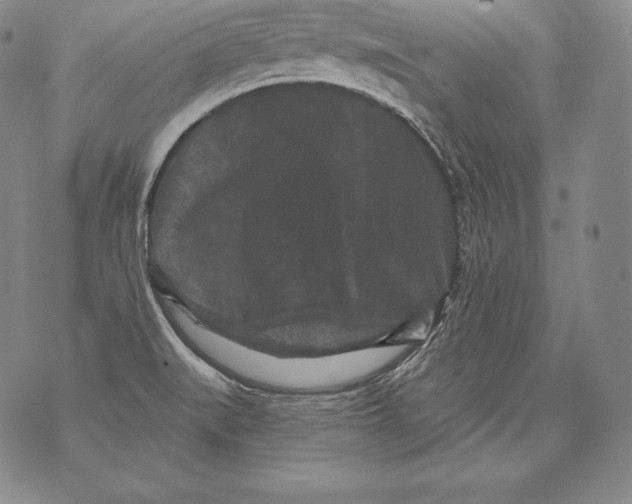 X0000076101519200610152330