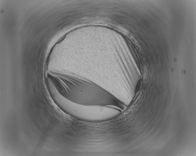 X0000076101520200610152330