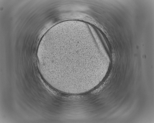 X0000076101521200610152330