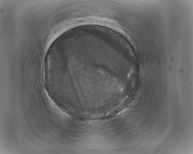 X0000076101522200610152330