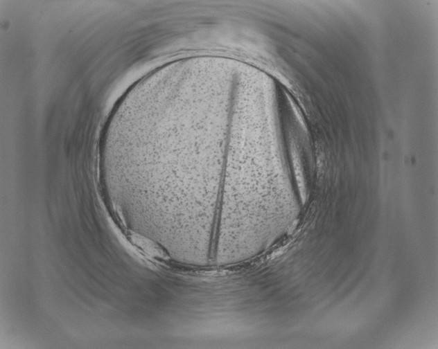 X0000076101523200610152330