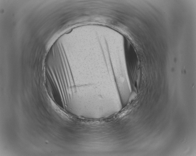 X0000076101524200610152331