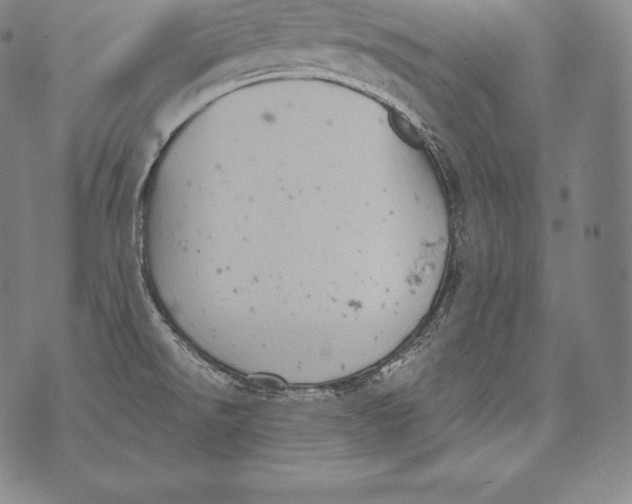 X0000076101526200610152331