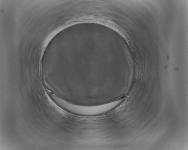 X0000076101527200610152331