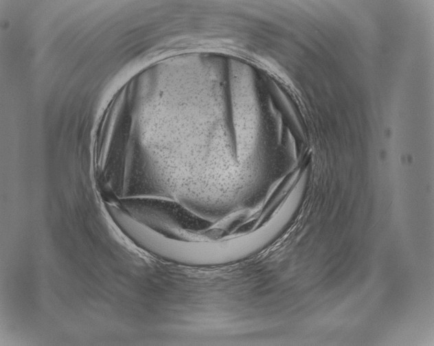 X0000076101528200610152331