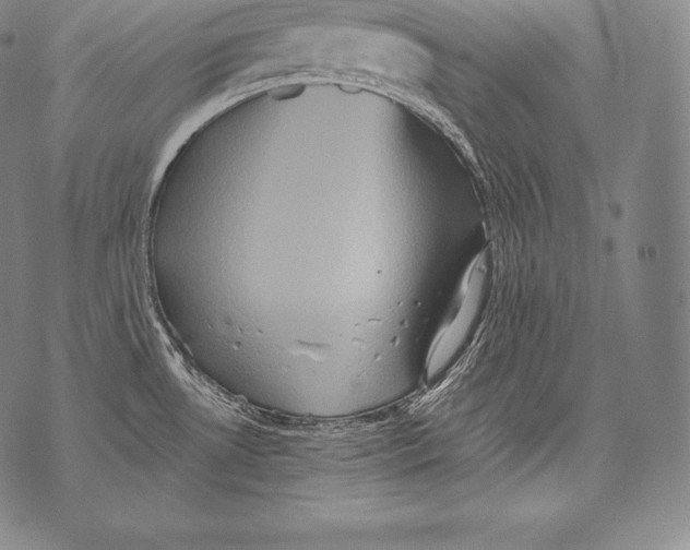 X0000076101530200610152331