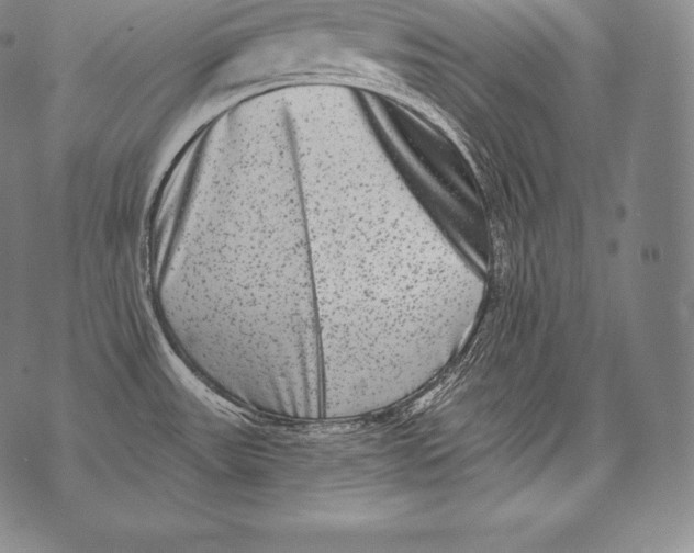 X0000076101531200610152331