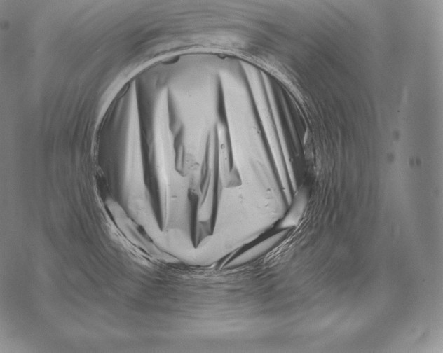 X0000076101532200610152331