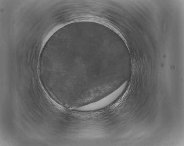 X0000076101533200610152331