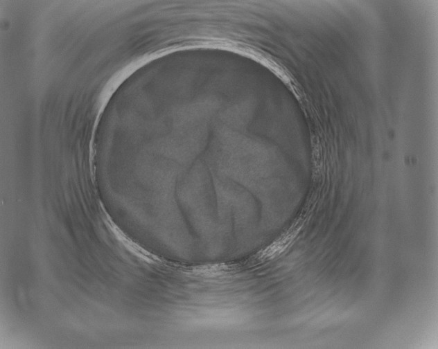 X0000076101535200610152331