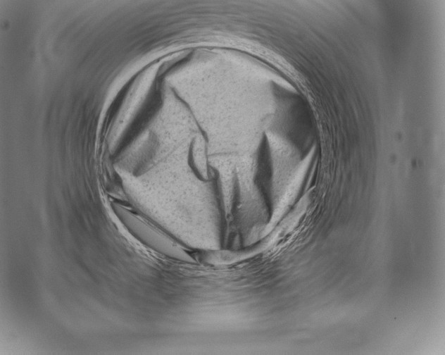 X0000076101536200610152331