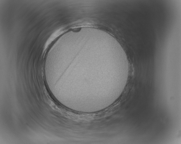 X0000076100004200610202148