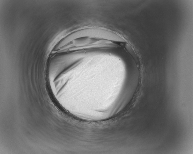 X0000076100007200610202148