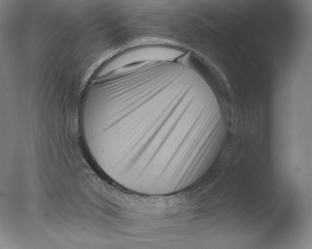 X0000076100015200610202147