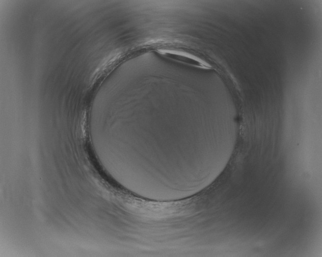 X0000076100023200610202147