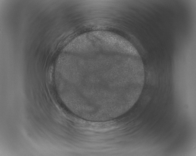 X0000076100026200610202147