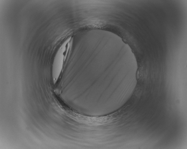 X0000076100027200610202147