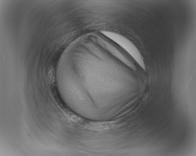 X0000076100029200610202147