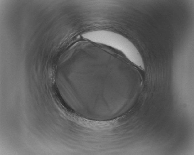 X0000076100031200610202147