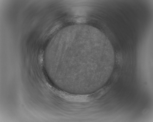 X0000076100032200610202147