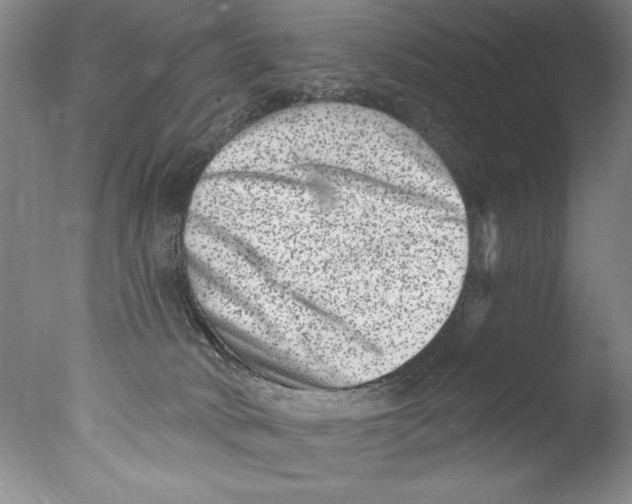 X0000076100034200610202147