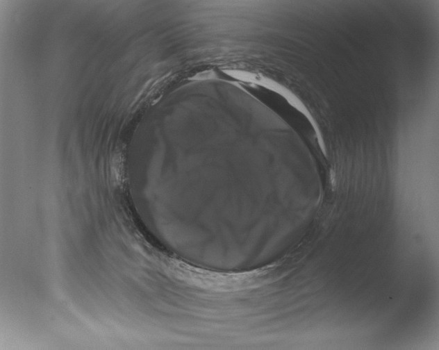 X0000076100035200610202147
